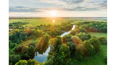 Photo of Экологическая привлекательность и природа